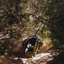 Ty Segall - Possession (VINYL) | Mint (M) Mint (M)