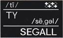 Ty Segall | Mint (M) Mint (M)