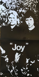 Ty Segall & White Fence - "Joy" | Mint (M) Mint (M)