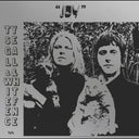 Ty Segall / White Fence - Joy |