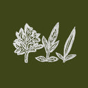 UENO TAKASHI - Variations of Weeds |