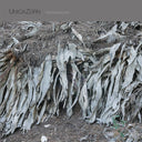 UNICAZURN - Transpandorem |