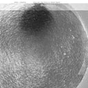 URSULA BOGNER - Sonne = Blackbox |