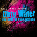 Va - Dirty Water: The Birth Of Punk Attitude |