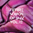 Va - Future Sounds Of Jazz Vol. 12 |