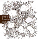 Group Of Connected Heads [CD]