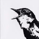 Nightingale Variations [CD]