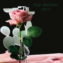 Va - Pop Ambient 2011 |