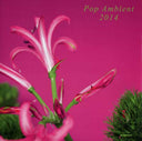 Va - Pop Ambient 2014 |