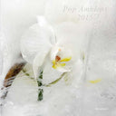 Va - Pop Ambient 2015 |
