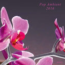 Va - Pop Ambient 2016 |