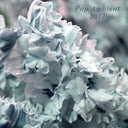 Pop Ambient 2017 [CD]