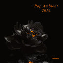 Pop Ambient 2019 [Vinyl]