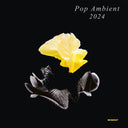 Va - Pop Ambient 2024 |