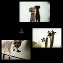 Va - Sailing to Byzantium (VINYL) | Mint (M) Mint (M)