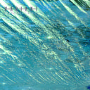 Sequential Sleep [ver1.2] [CD]