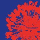 VARIAT & MERZBOW - Unintended Intention |