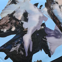 Alterity | Mint (M) Mint (M)
