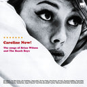 Various Artists - Caroline Now! (25Th Anniv. RM Edt RSD Black 2LP ) | Mint (M) Mint (M)