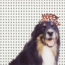 Mollie's Mix [CD]