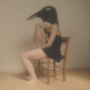 Various Artists - Penguin Cafe Orchestra-Tribute- |