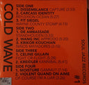 Cold Wave #1 | Mint (M) Mint (M)
