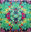 Kaleidoscope (New Spirits Known & Unknown) | Mint (M) Mint (M)