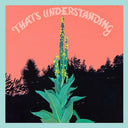 VILLAGE OF SPACES - That's Understanding |
