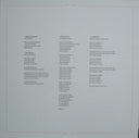 Villagers (3) - Fever Dreams | Mint (M) Mint (M)