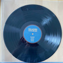 Villagers (3) - Fever Dreams | Mint (M) Mint (M)