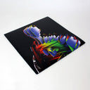 Visible Cloaks - Lex | Mint (M) Mint (M)