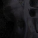 VITO GATTO - Evolve [Vinyl]
