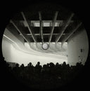 Live At Maxxi | Mint (M) Mint (M)
