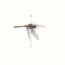 WARM WIDOW - Widower |