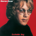 Excitable Boy (Glow In The Dark Red Vinyl | Brick & Mortar Exclusive) | Mint (M) Mint (M)