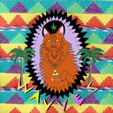 Wavves - King of the Beach [Vinyl]