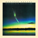 Mysterious Traveller [Vinyl]