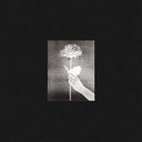Day By Day [CD]