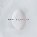 A Ghost Is Born (Expanded Edition) (2 Cd's) [CD]
