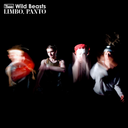 Wild Beasts - Limbo, Panto [Vinyl]