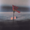 Paralanguage (COLOR VINYL) [Vinyl]