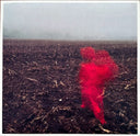 Will Varley - The Hole Around My Head | Mint (M) Mint (M)