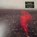 Will Varley - The Hole Around My Head | Mint (M) Mint (M)