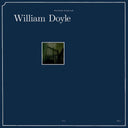 The Dream Derealised [Vinyl]