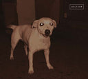 WOLFRAM TRIO - Wolfram |