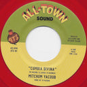 Cumbia Divina / Bansuri (7" VINYL) | Mint (M) Generic