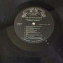 The Brass Works (2) - Coming At You With Vibrant Polkas! (VINYL) | Near Mint (NM) Near Mint (NM)