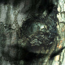 Yann Tiersen - La Valse des Monstres |
