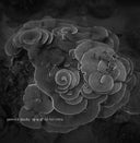 YANNICK DAUBY - Penghu Experimental Sound Studio Vol. 2 [Vinyl]