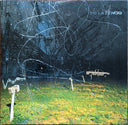 Yo La Tengo - This Stupid World | Mint (M) Mint (M)